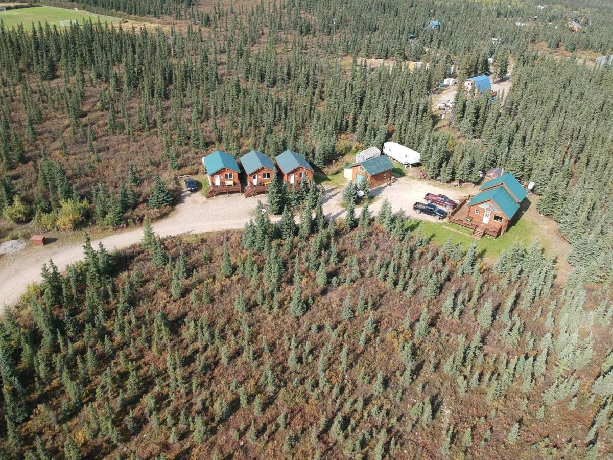 Denali'S Alaskan Spruce Cabins Healy Exteriér fotografie