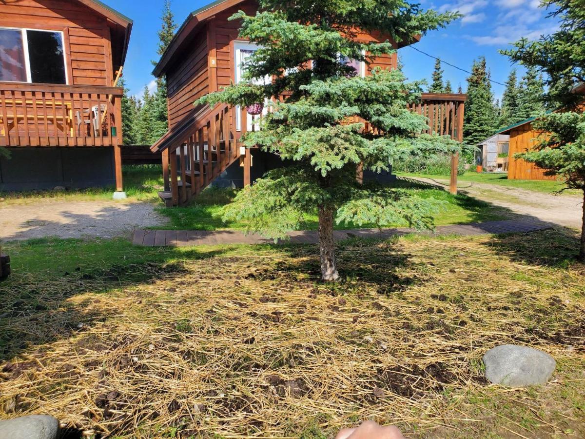 Denali'S Alaskan Spruce Cabins Healy Exteriér fotografie