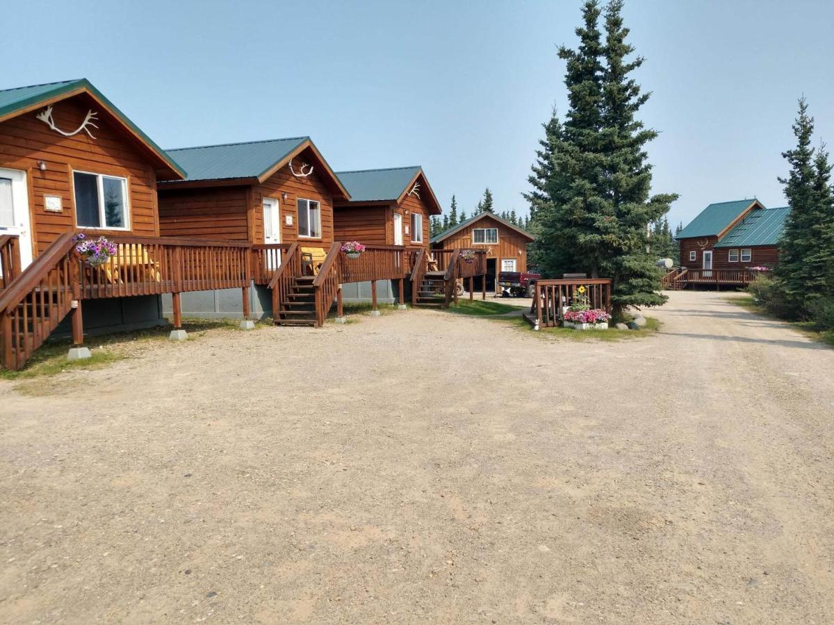 Denali'S Alaskan Spruce Cabins Healy Exteriér fotografie