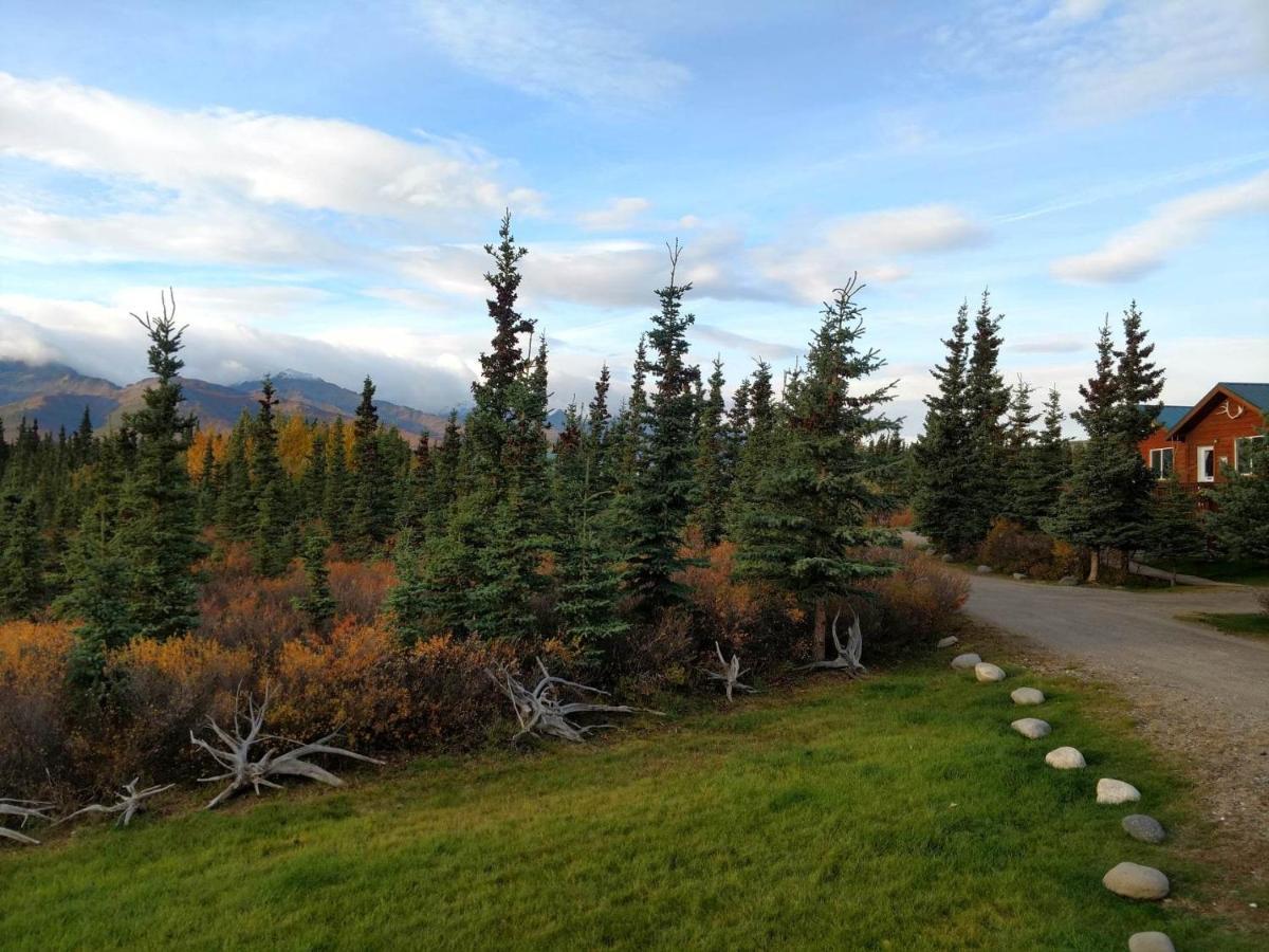 Denali'S Alaskan Spruce Cabins Healy Exteriér fotografie