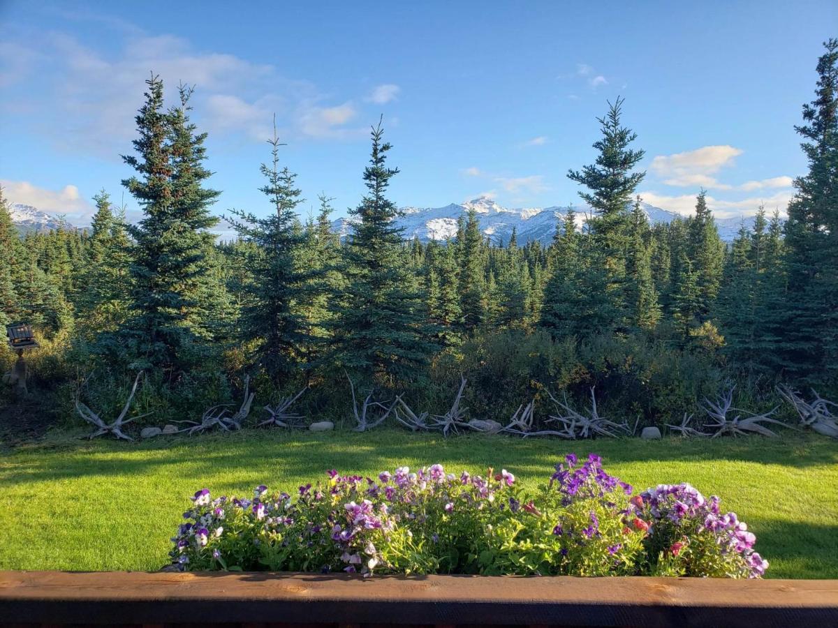 Denali'S Alaskan Spruce Cabins Healy Exteriér fotografie