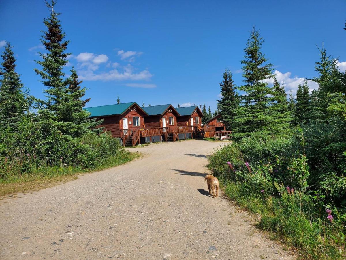 Denali'S Alaskan Spruce Cabins Healy Exteriér fotografie