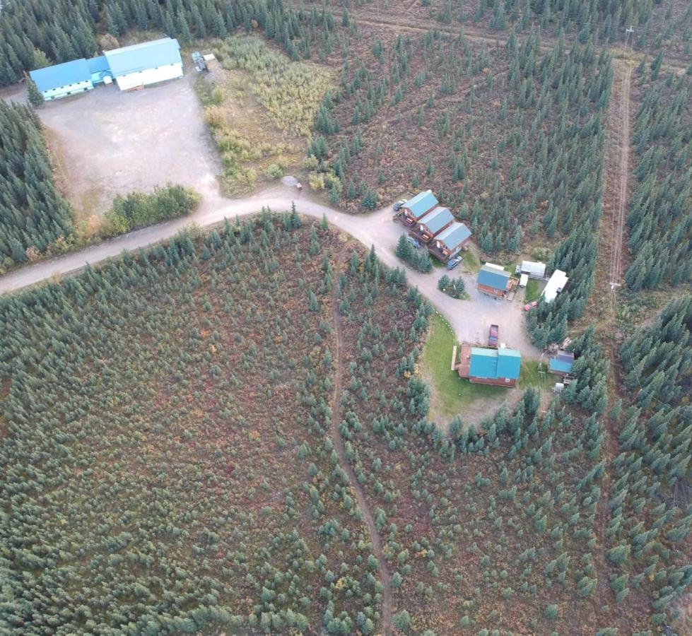 Denali'S Alaskan Spruce Cabins Healy Exteriér fotografie