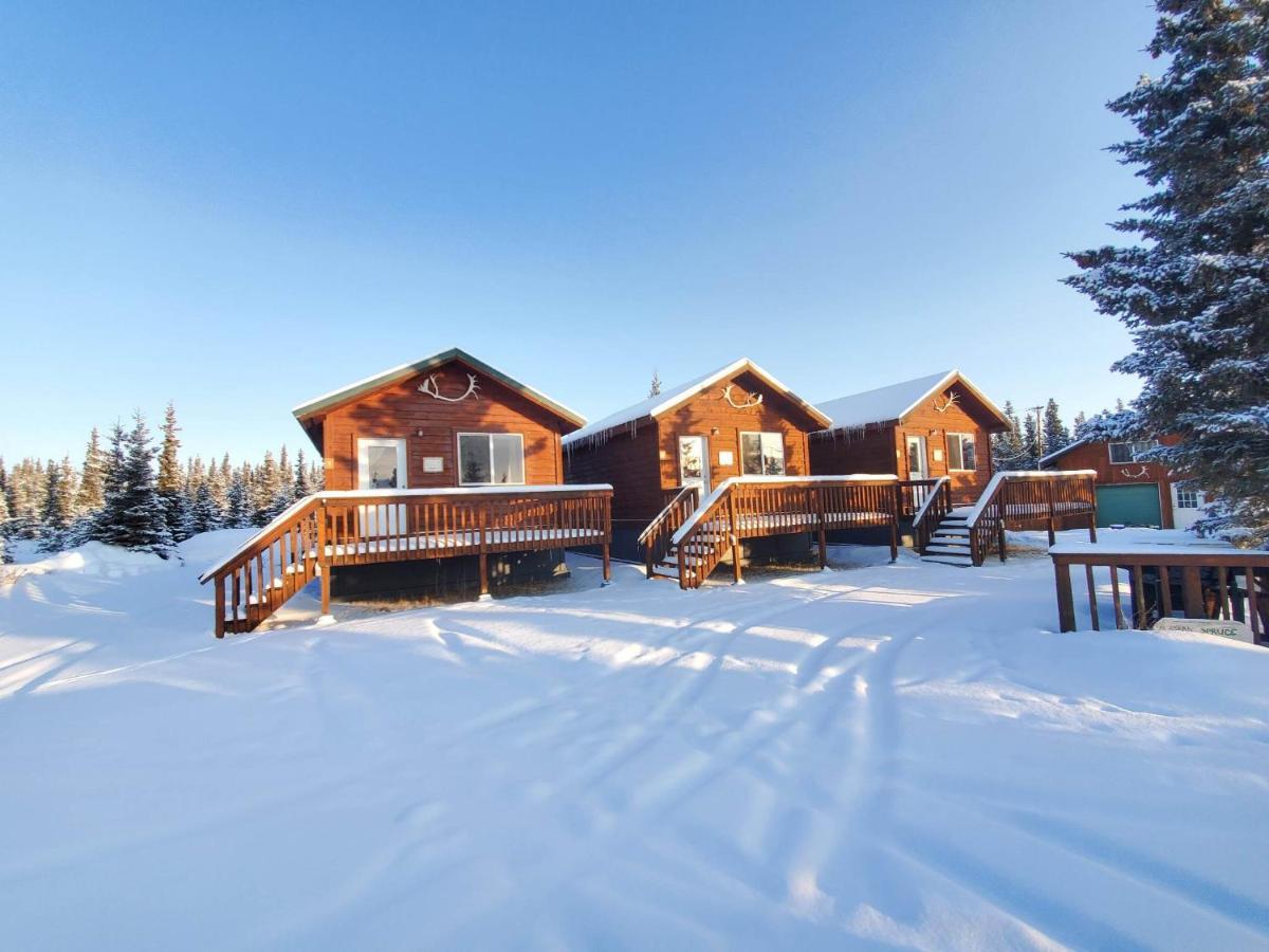 Denali'S Alaskan Spruce Cabins Healy Exteriér fotografie