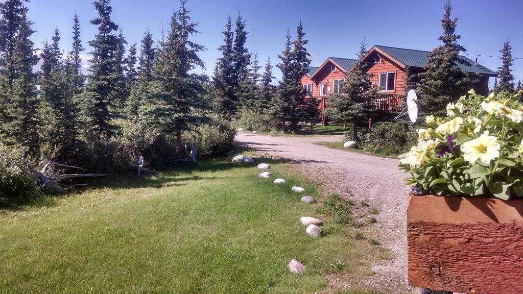 Denali'S Alaskan Spruce Cabins Healy Exteriér fotografie