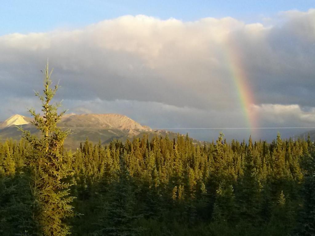 Denali'S Alaskan Spruce Cabins Healy Exteriér fotografie